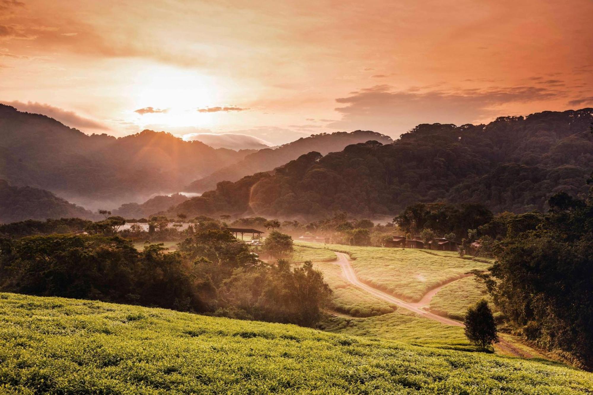 Вилла One&Only Nyungwe House Rwumba Экстерьер фото